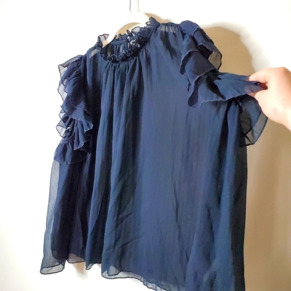 Anthropologie Sheer Chiffon Ruffle Blouse Top - Picture 5 of 14